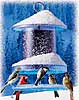 Winter Feeders