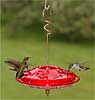 Hummingbird Feeders