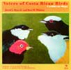 Bird Songs Costa Rica