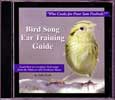 Ear Training Guide