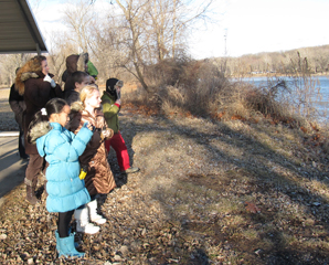 The Young Birders