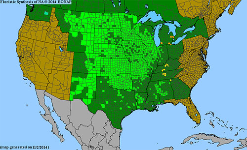BONAP map of Purple Prairie Clover Range