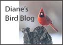 Diane's Bird Blog