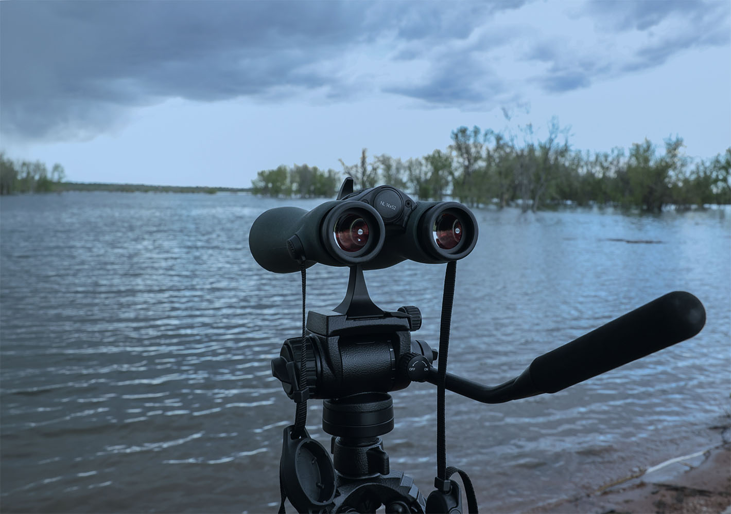NL Pure excels in distance birding