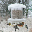 All-weather Feeder